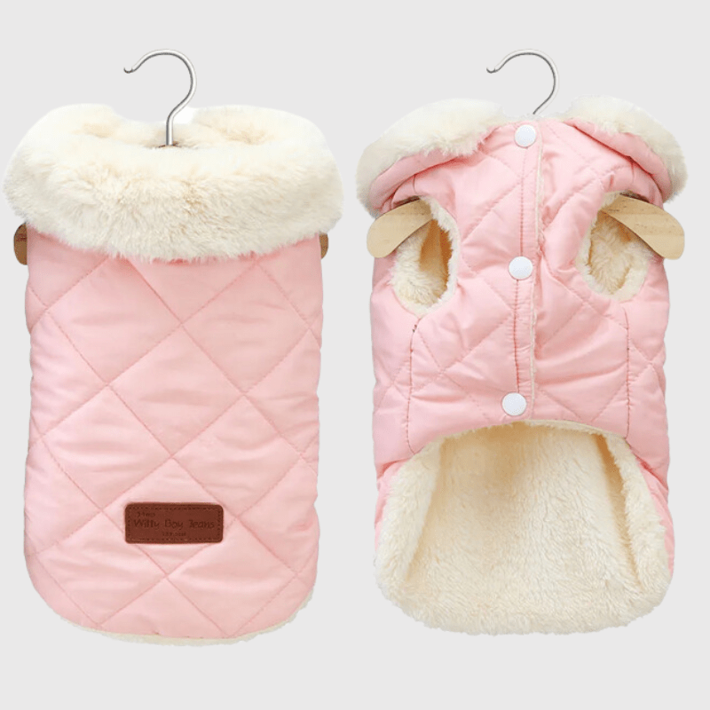 Déstockage d’Hiver ❄️ -50% sur nos pulls & manteaux pour chien