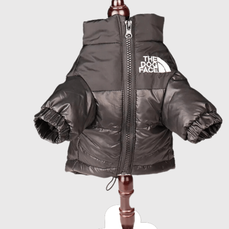 Déstockage d’Hiver ❄️ -50% sur nos pulls & manteaux pour chien