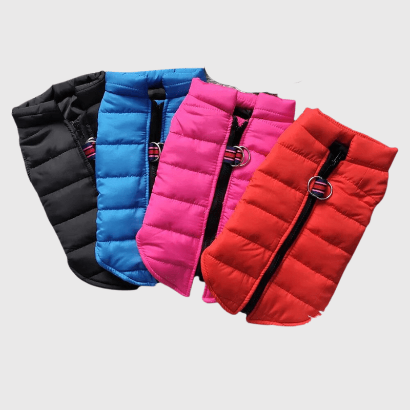Manteau pour chien impermeable recto