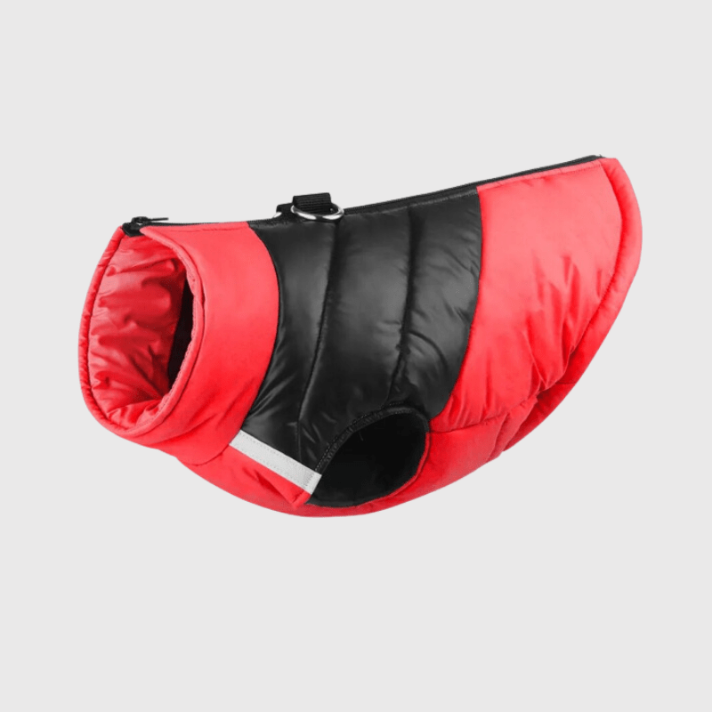 Manteau pour grand chien