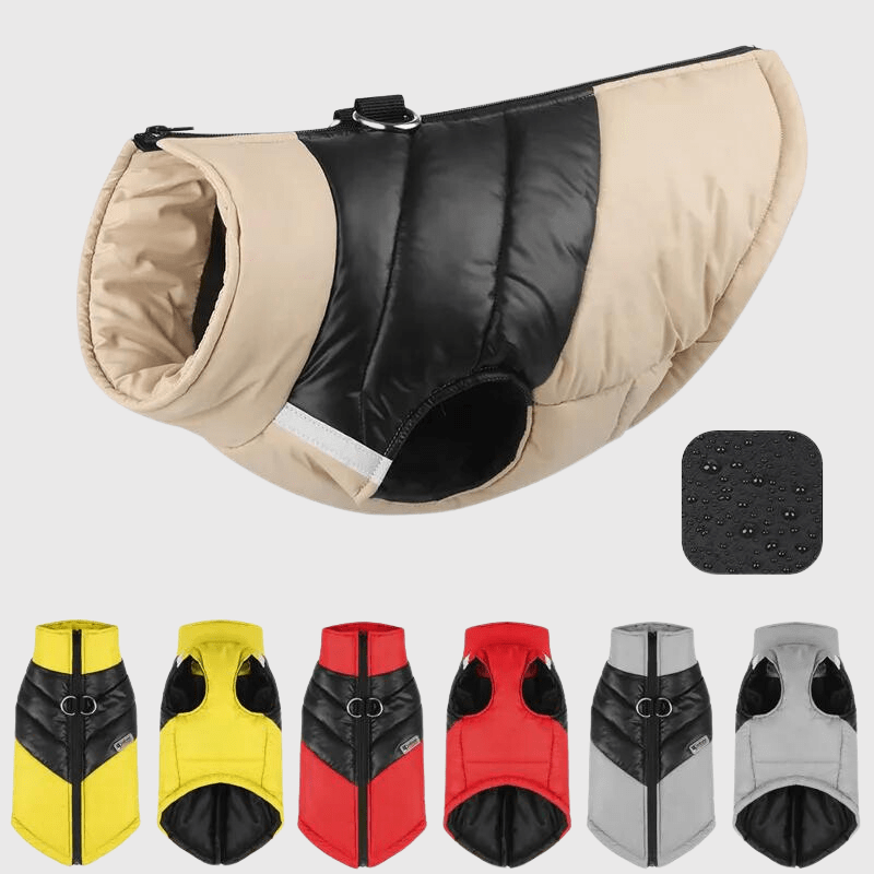 Manteau pour grand chien eau