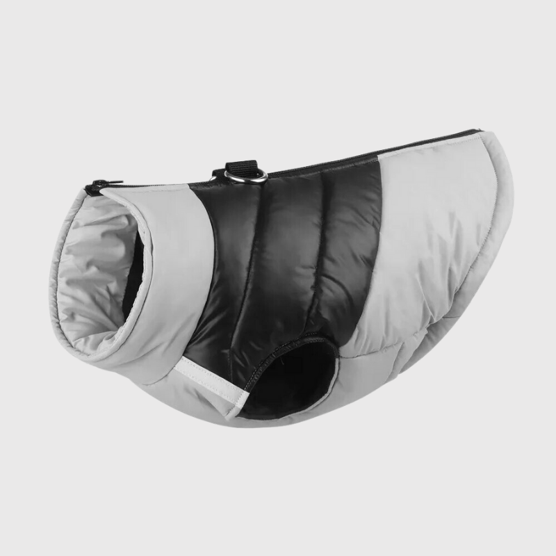 Manteau pour grand chien gris