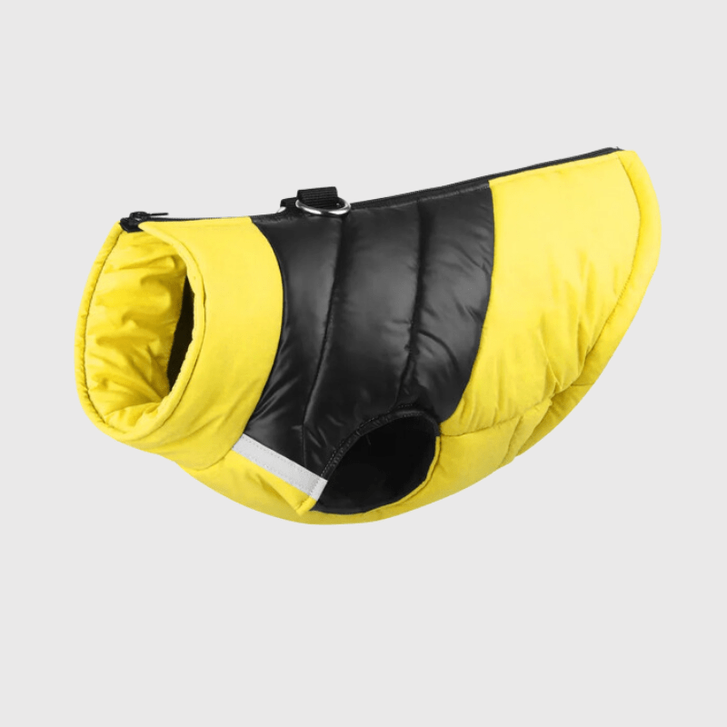 Manteau pour grand chien jaune
