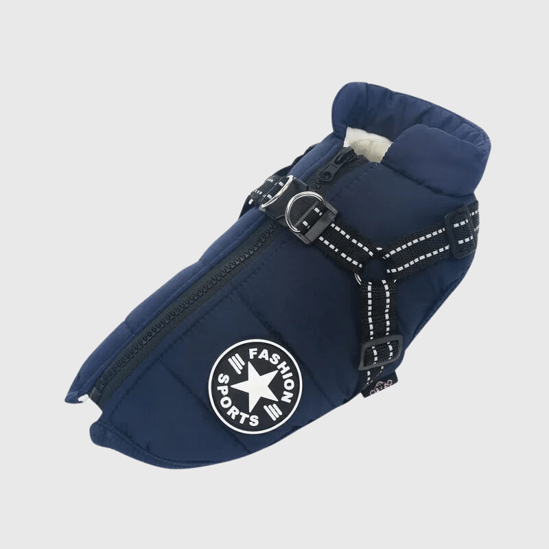 Déstockage d’Hiver ❄️ -50% sur nos pulls & manteaux pour chien