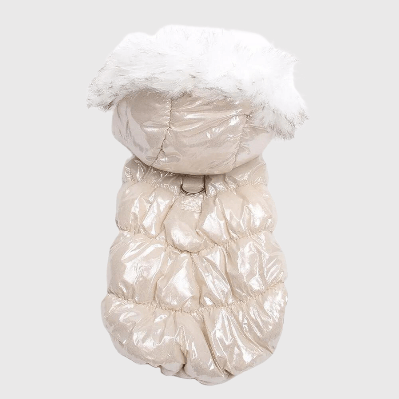 Déstockage d’Hiver ❄️ -50% sur nos pulls & manteaux pour chien