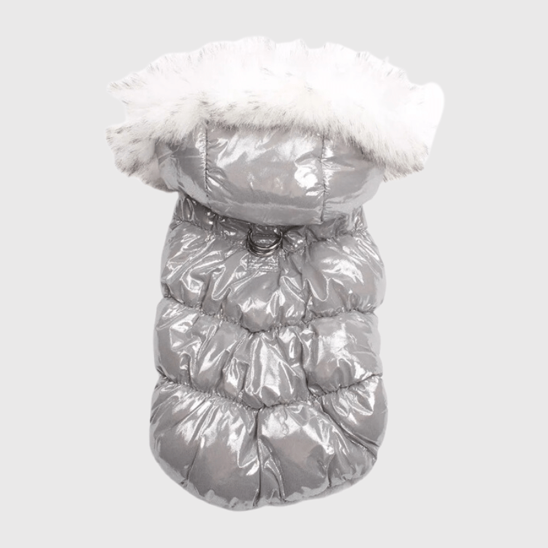 Manteau pour petit chien chihuahua gris