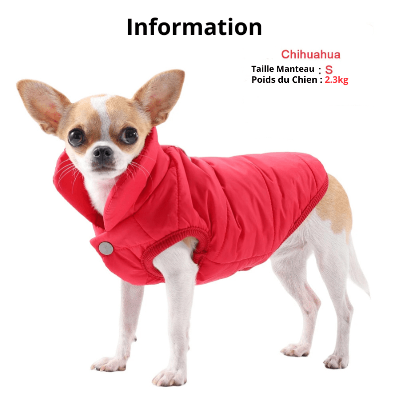 Manteau pour petit chien info chien