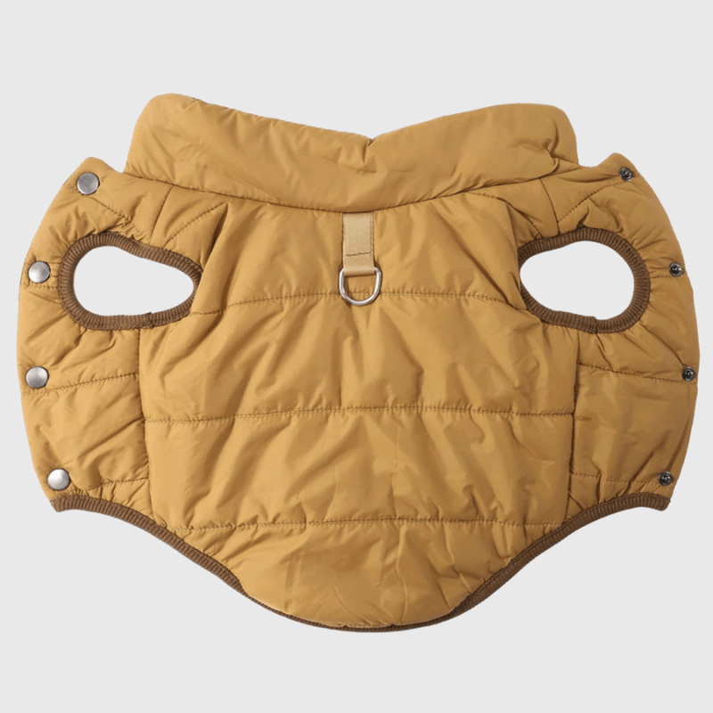 Manteau pour petit chien marron dos