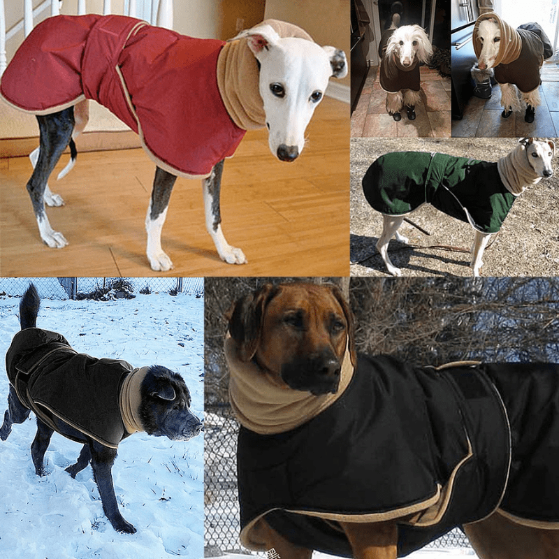 Manteau wouapy pour chien exemple sur chien