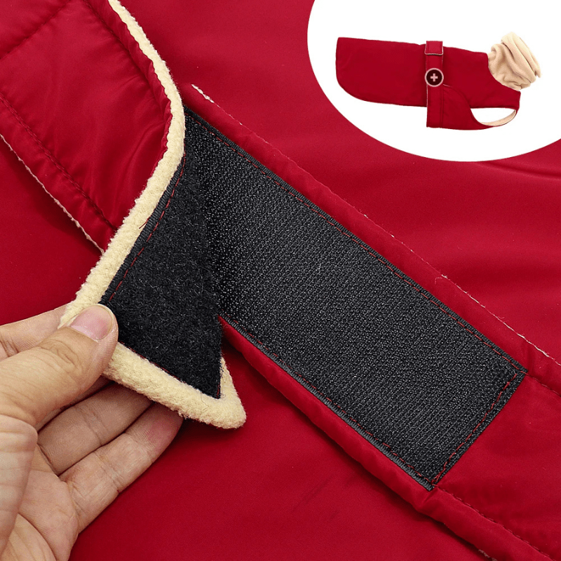 Manteau wouapy pour chien modele