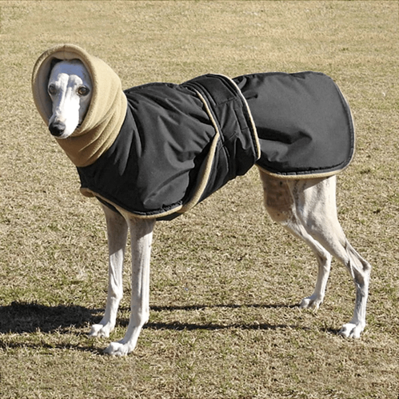 Manteau wouapy pour chien noir