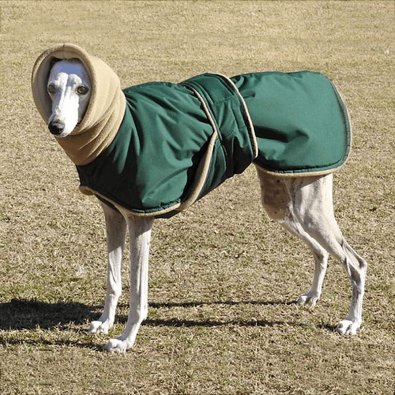 Manteau wouapy pour chien vert