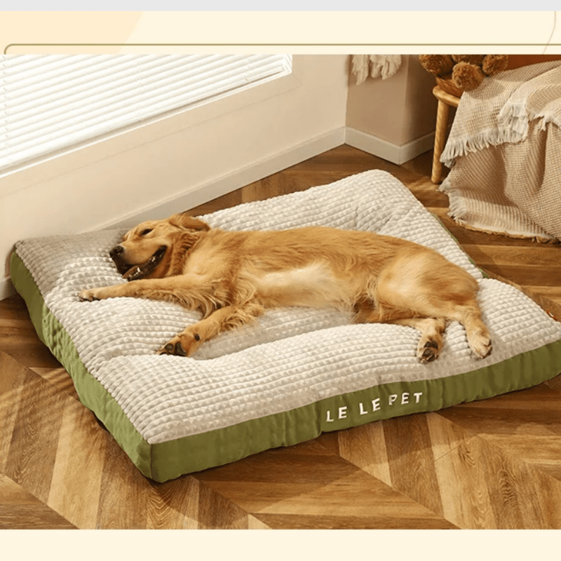 Matelas pour chien xxl 2025