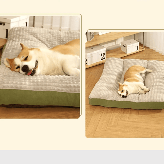matelas pour chien xxl 2025 - Paradis Chien
