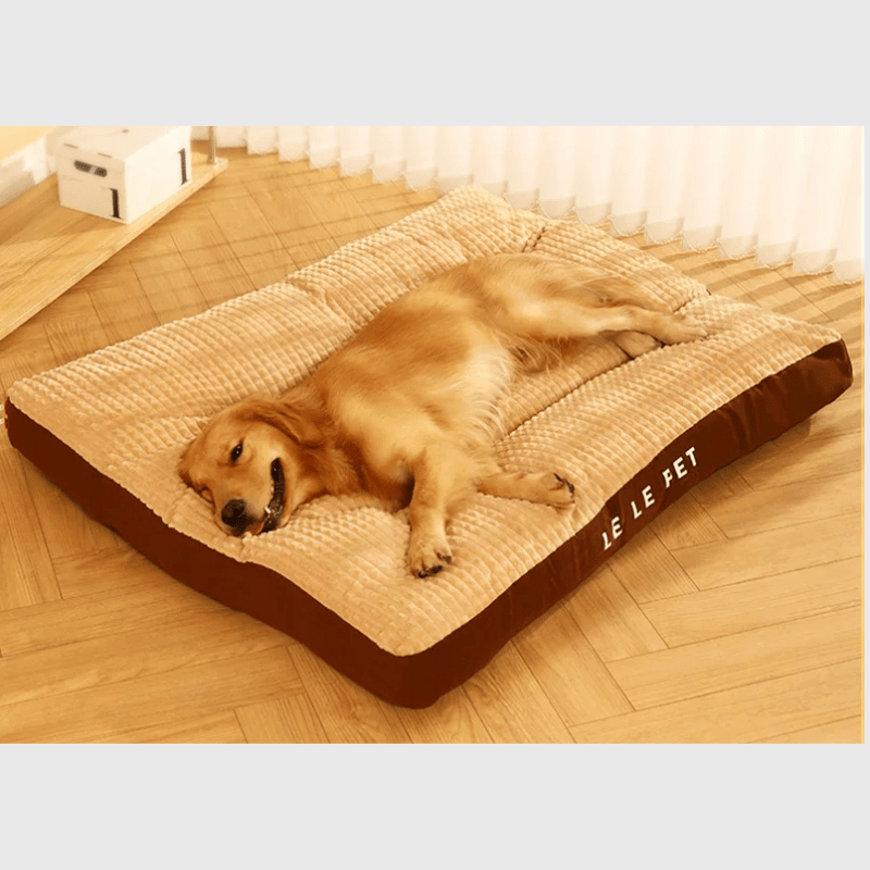 Matelas pour chien xxl 2025
