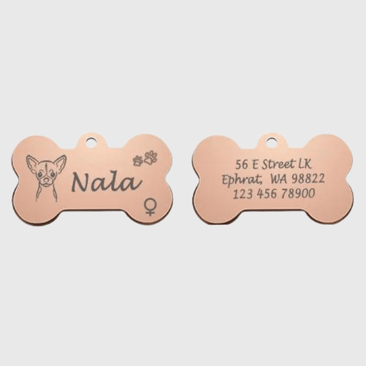 Medaille chien originale patte de chien rose