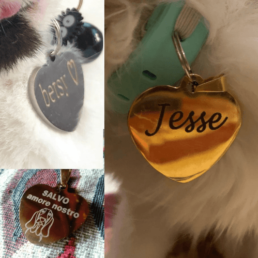 Médaille pour chien personnalisable caniche
