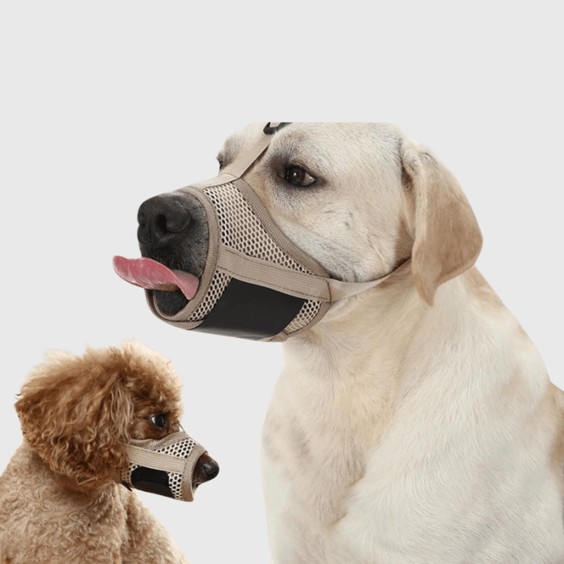 Muselière pour chien Beige labrador