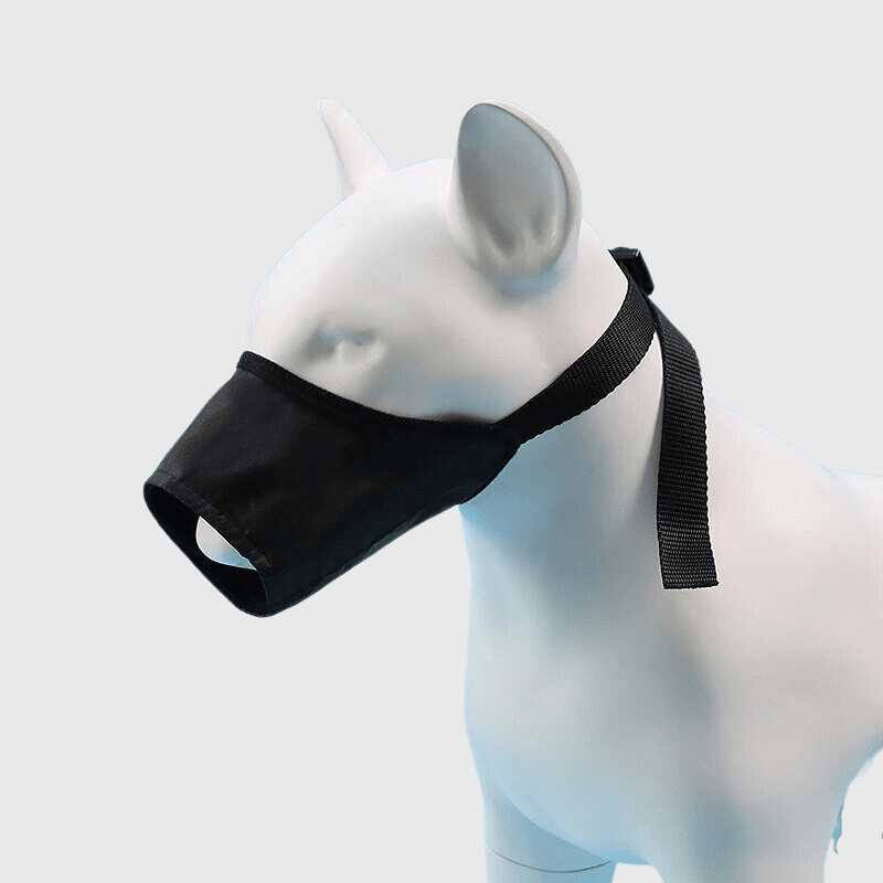 Museliere pour petit chien