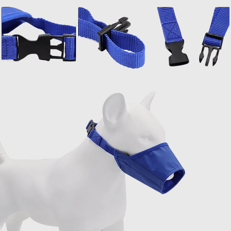 Museliere pour petit chien exemple