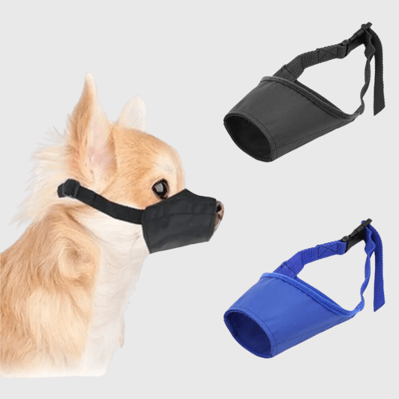 Museliere pour petit chien yorkshire