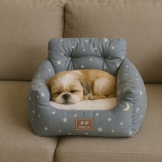 Panier canapé pour chien étoile avec chien dedans