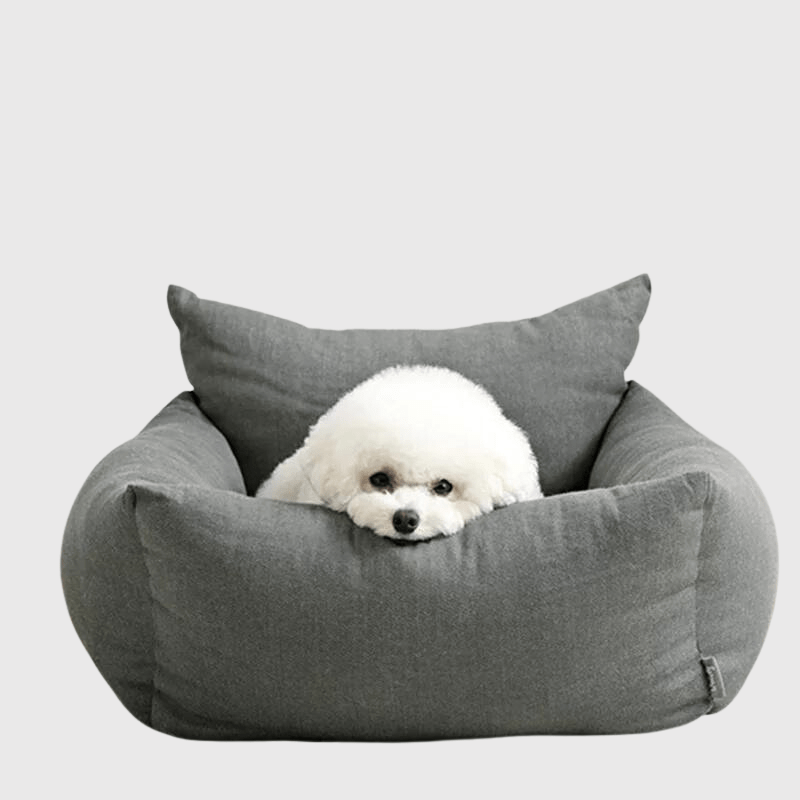 Panier pour petit chien