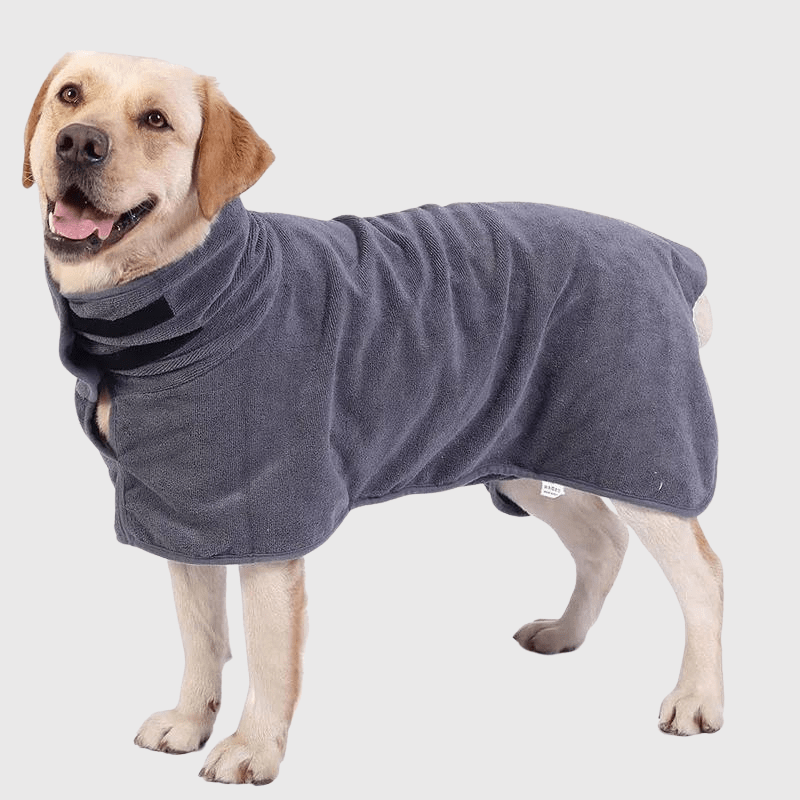 Peignoir pour grand chien labrador