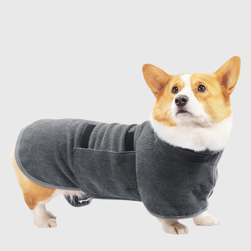 Peignoir pour petit chien corgi