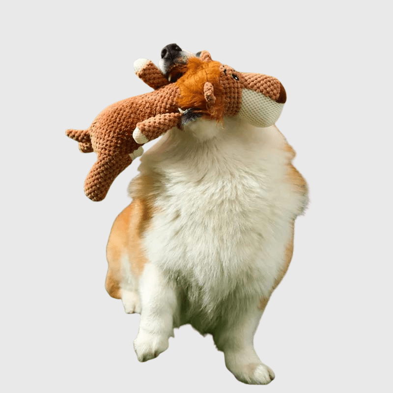 Peluche coloré pour chien chiot