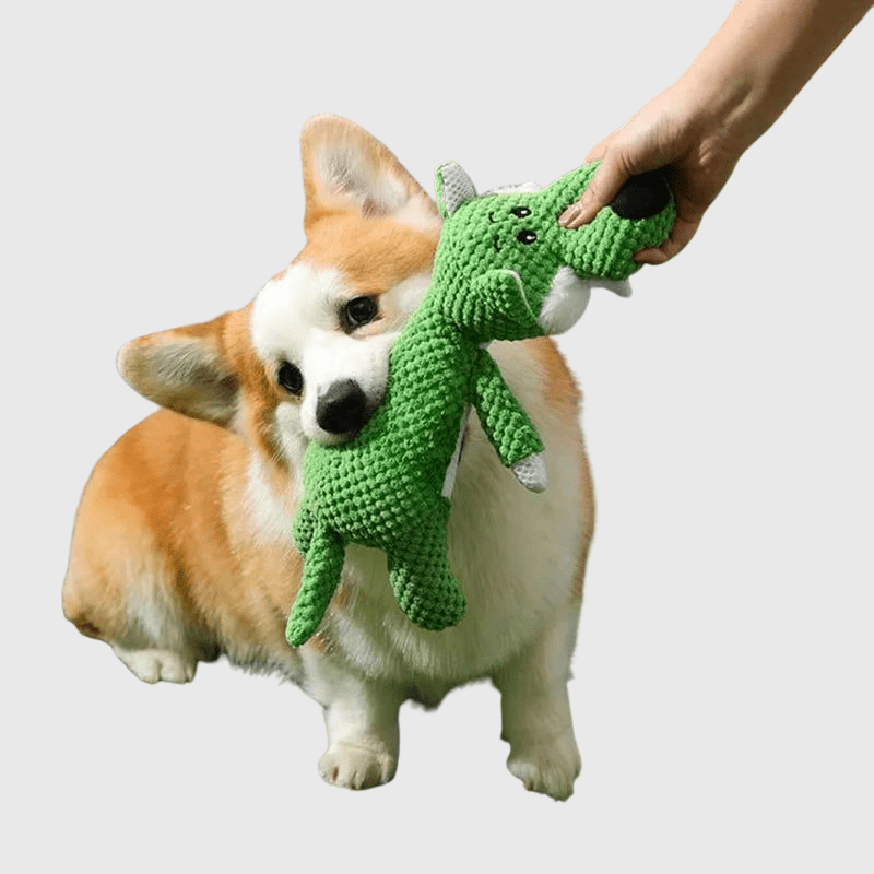 Peluche coloré pour chien jeux