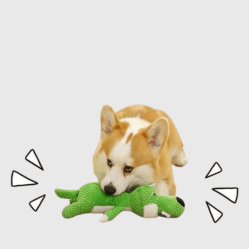 Peluche coloré pour chien pouette