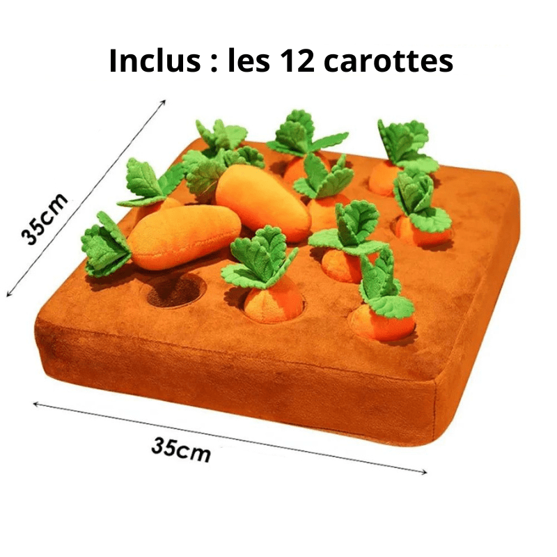 Peluche interactive carotte pour chien malinois