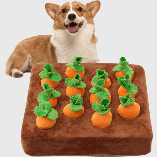 Peluche interactive carotte pour chien modele