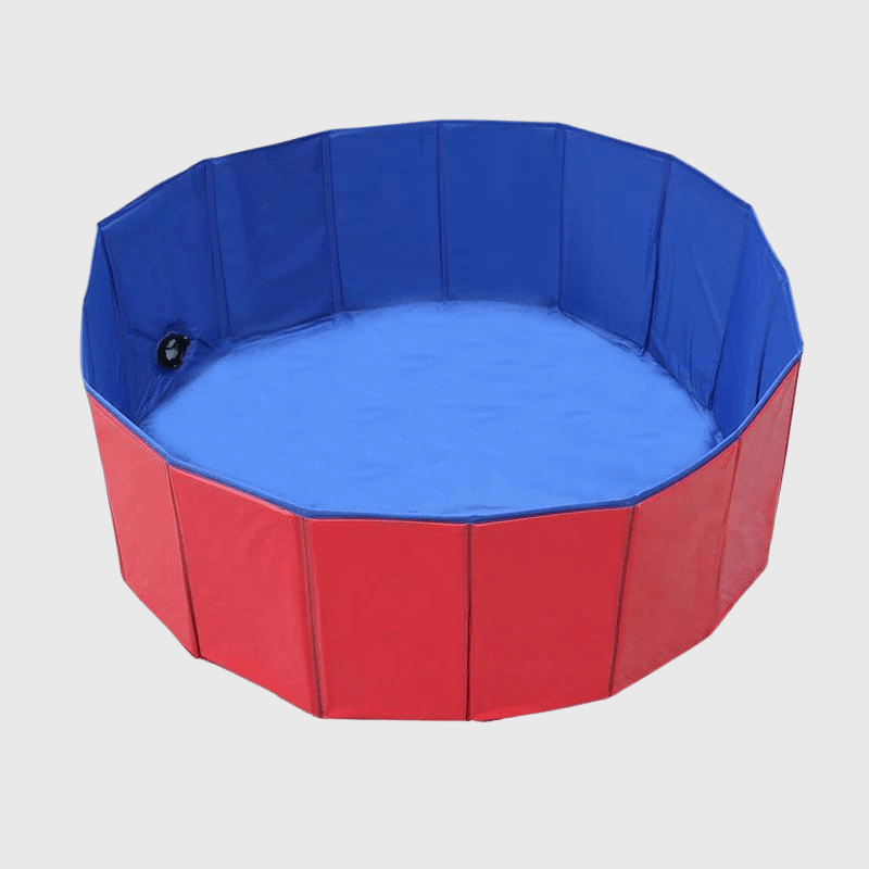 Piscine rigide pour grand chien
