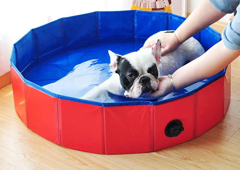 Piscine rigide pour grand chien interieur