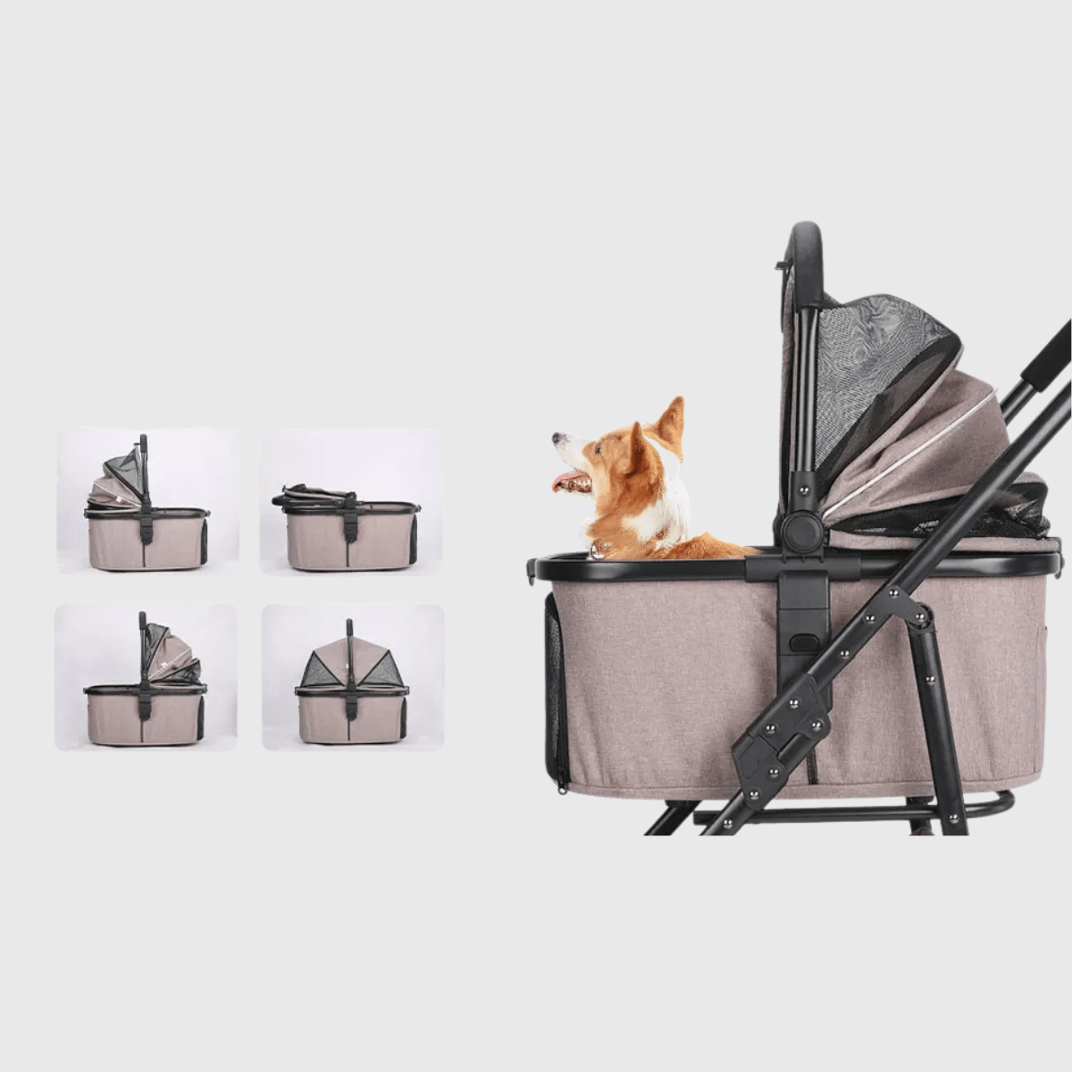 Poussette pour vieux chien details