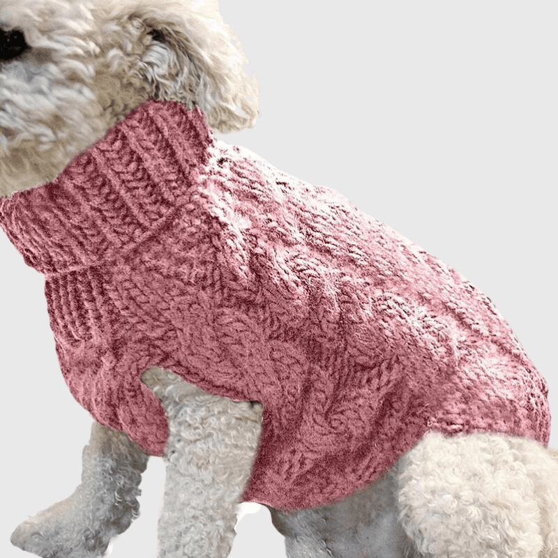 Pull chaussette pour petit chien caniche