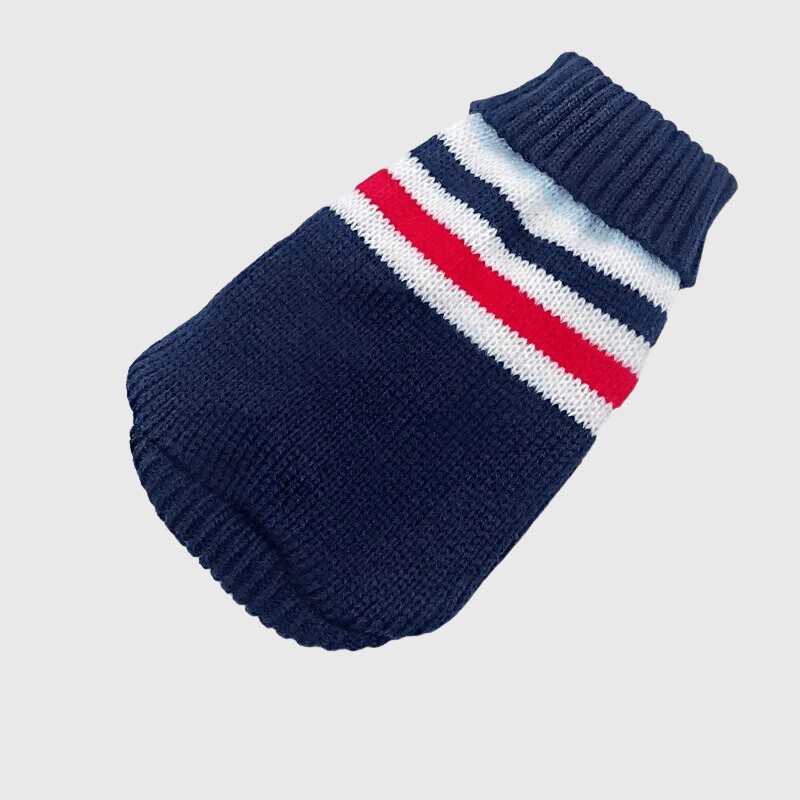 Pull de Noël pour chien bleu trait