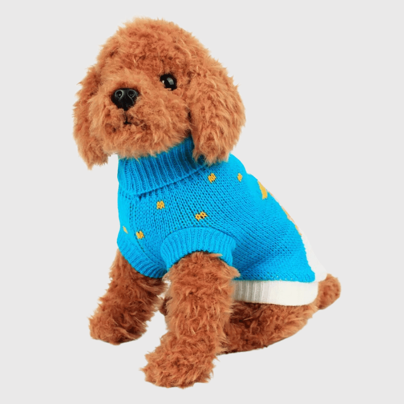 Pull de Noël pour chien caniche