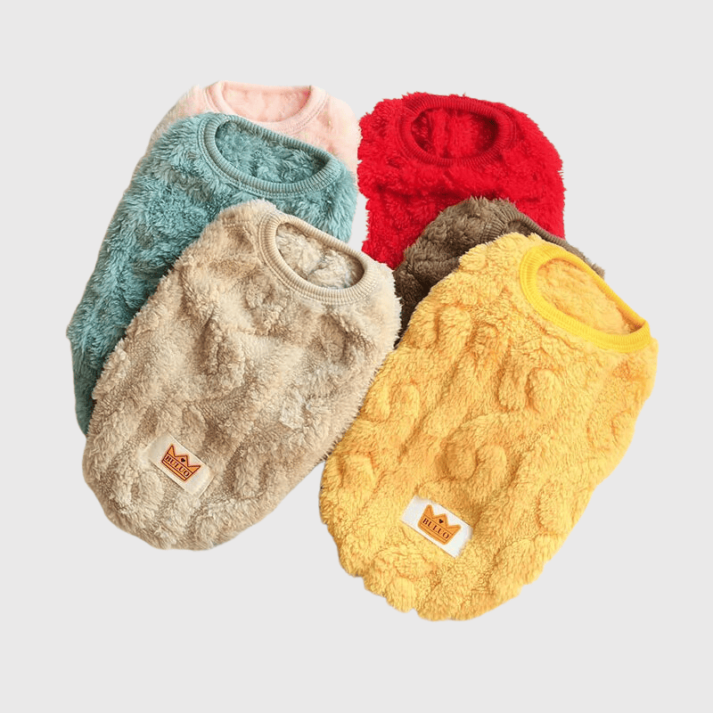 Pull en laine pour chien ensemble