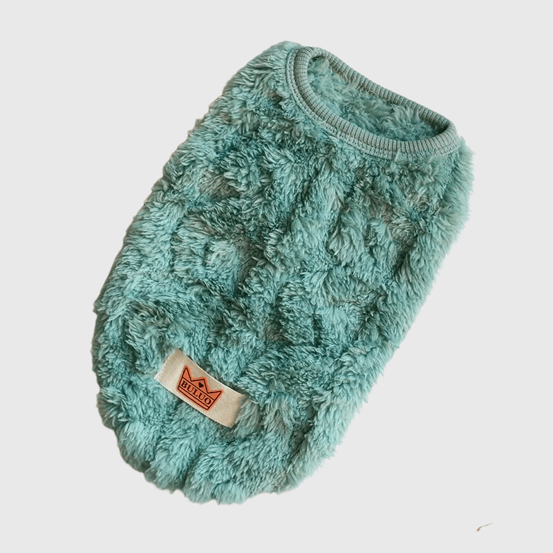 Pull en laine pour chien vert