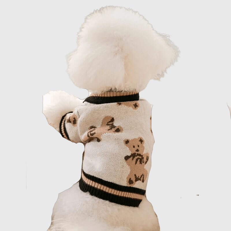 Pull pour chien design ours noir