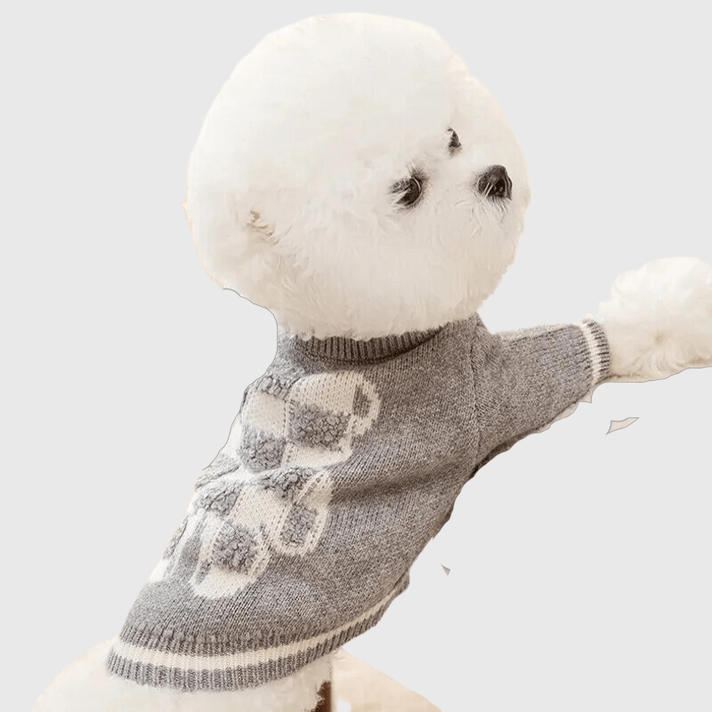 Pull pour chien en laine en forme d'ours à carreaux debout