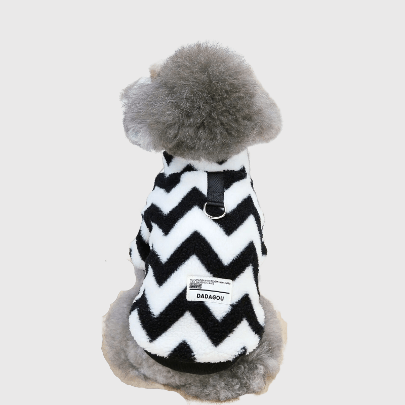 Pull pour petit chien blanc