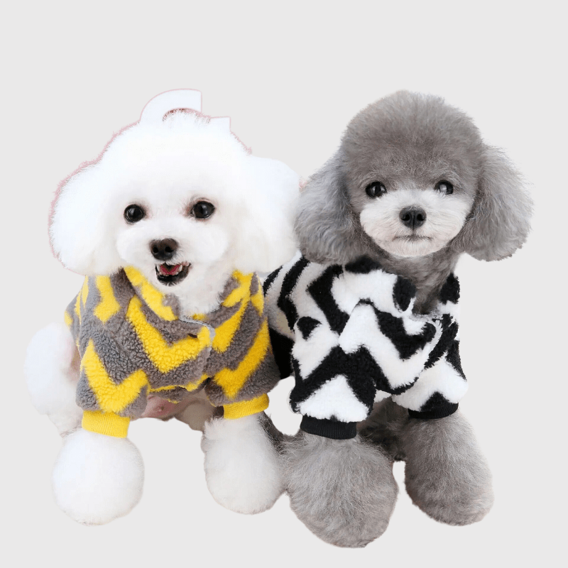 Pull pour petit chien caniche