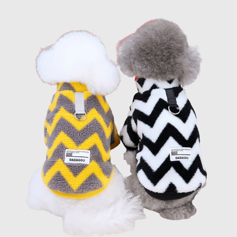 Pull pour petit chien caniche dos