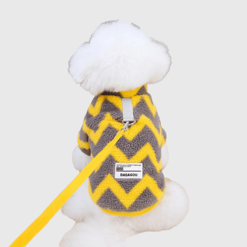 Pull pour petit chien jaune