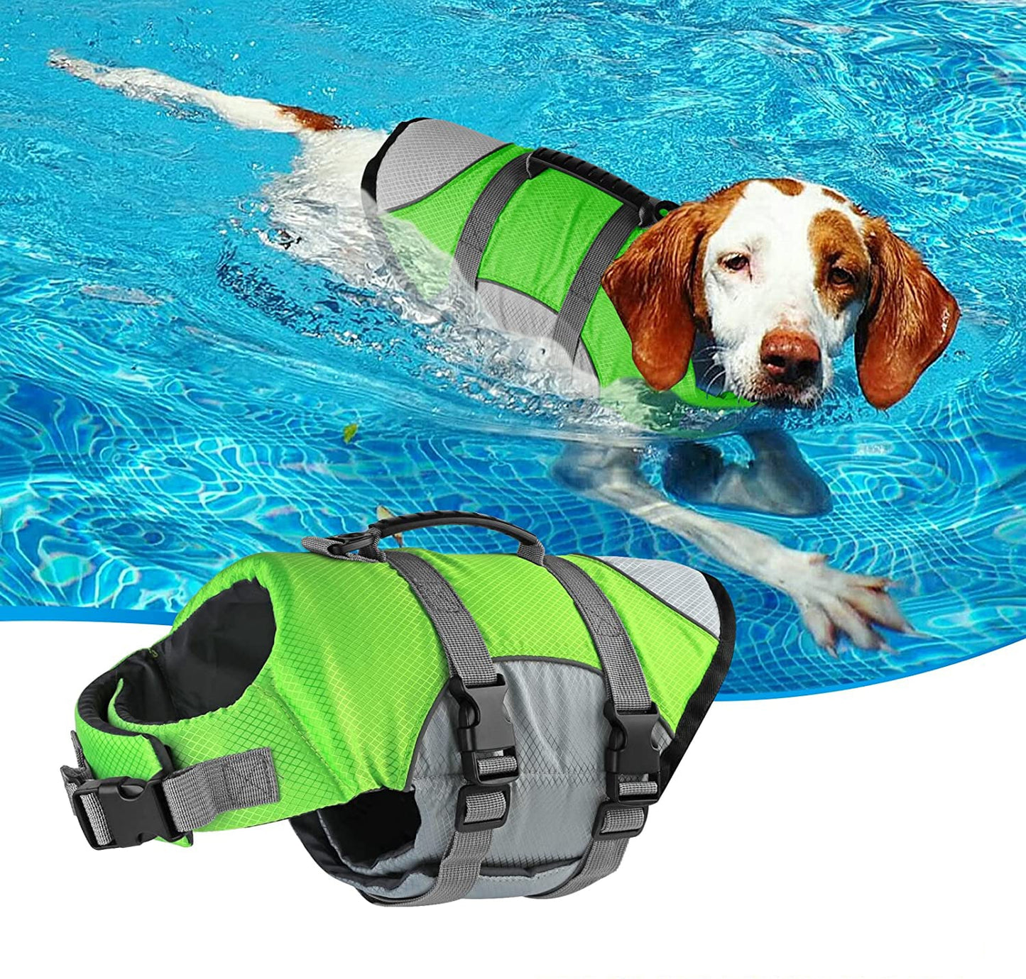Gilet de flottaison pour chien avec chien dans la piscine avec un modele de gilet vert