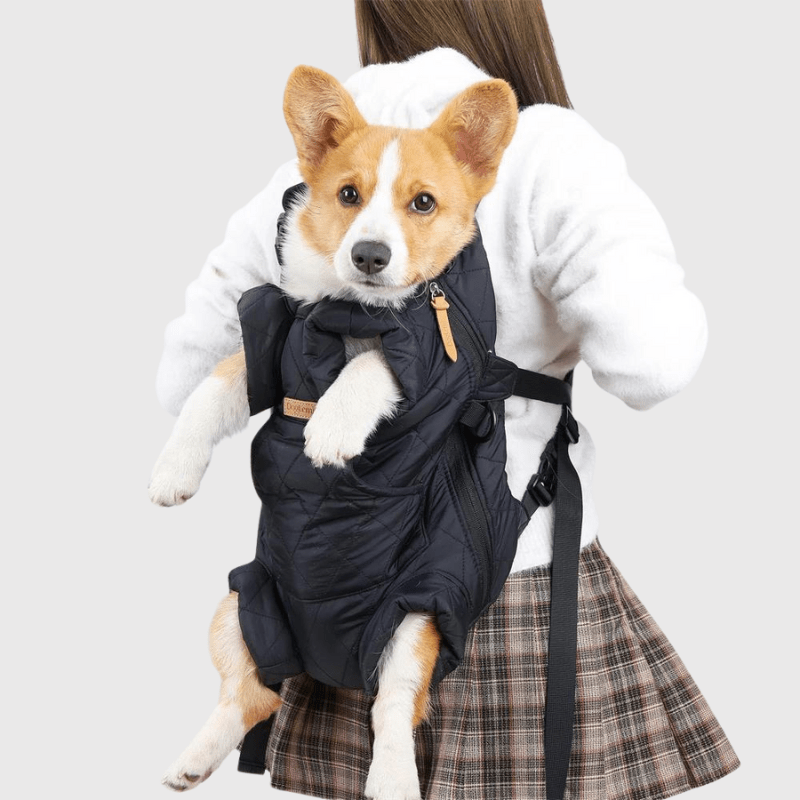 Sac à dos harnais chien corgie